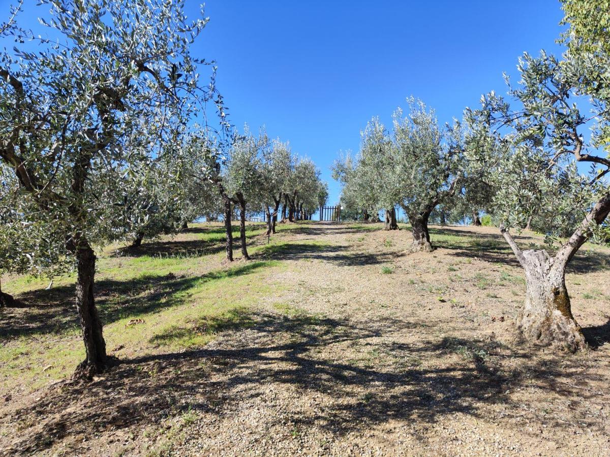 Agriturismo Sommassa Греве-ин-Кьянти Экстерьер фото