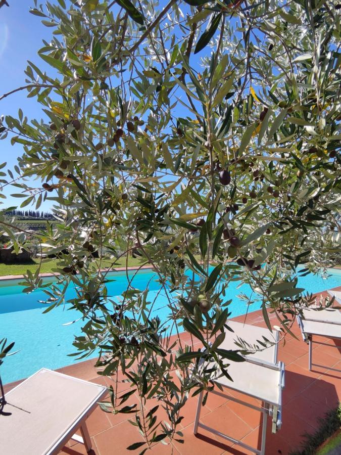 Agriturismo Sommassa Греве-ин-Кьянти Экстерьер фото