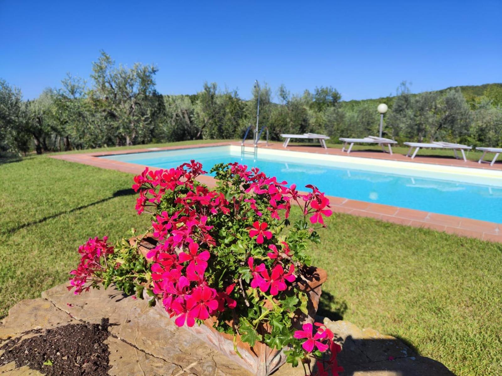 Agriturismo Sommassa Греве-ин-Кьянти Экстерьер фото